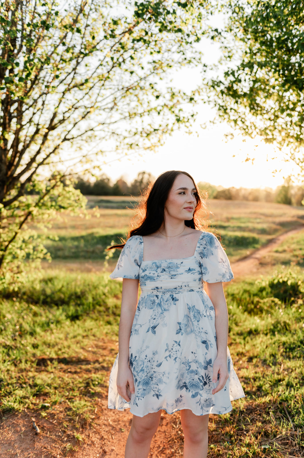Bluebell Mini Dress